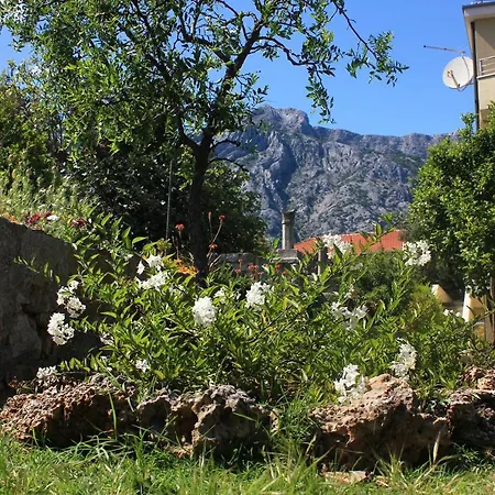 Apartamento With Parking Space Orebic, Peljesac - 10097 *