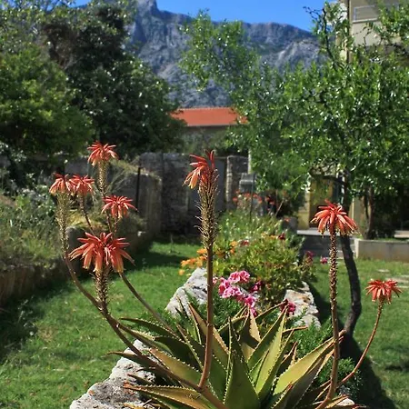 Apartamento With Parking Space Orebic, Peljesac - 10097