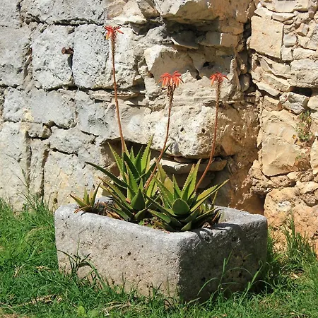 Apartamento With Parking Space Orebic, Peljesac - 10097 *