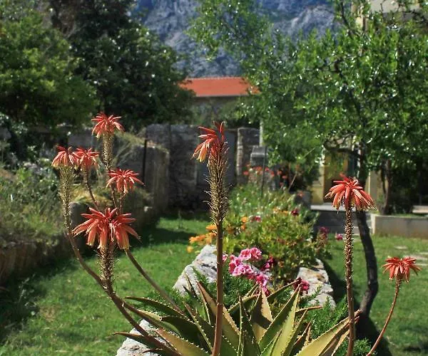 Apartament With Parking Space Orebic, Peljesac - 10097