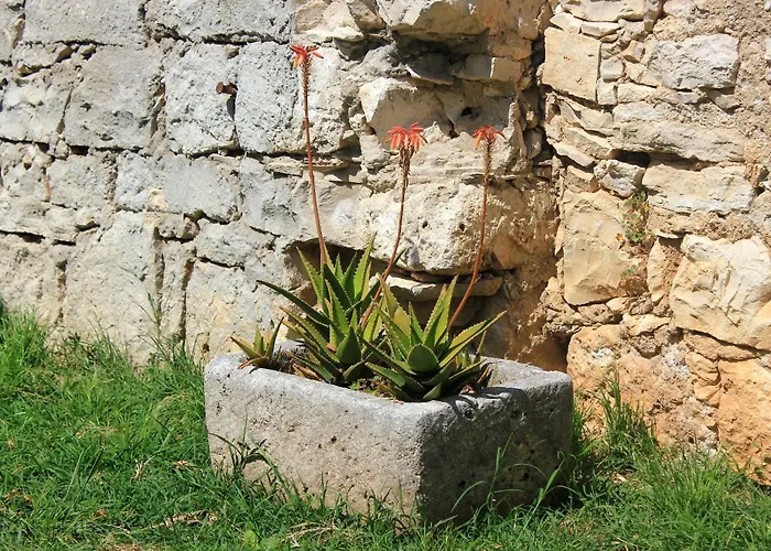 Apartamento With Parking Space Orebic, Peljesac - 10097 *